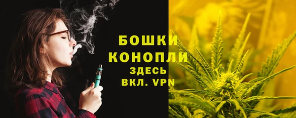 меф Ельня