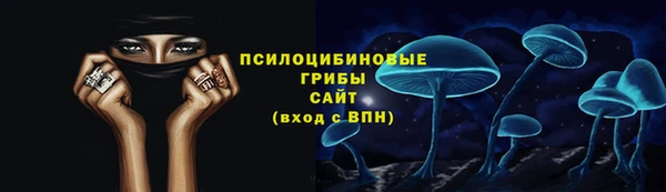 ешки Дмитров