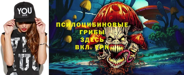 кристаллы Дмитриев