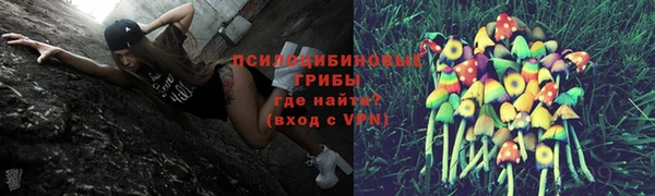 кристаллы Дмитриев